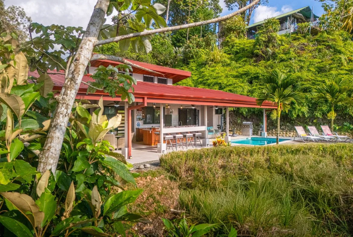 PROPERTY IN THE MIDDLE OF THE NATURE WITH OCEAN VIEWS, IN OJOCHAL – 3.6 ACRES, photo 8