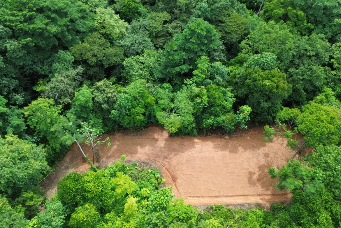 JUNGLE BUILDING PROPERTY NEAR TO THE CREEK, IN TORTUGA  ARRIBA – 2.41 ACRES, photo 2