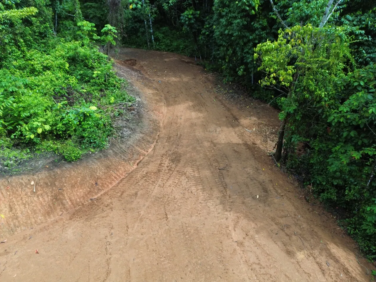 JUNGLE BUILDING PROPERTY NEAR TO THE CREEK, IN TORTUGA  ARRIBA – 2.41 ACRES, photo 11