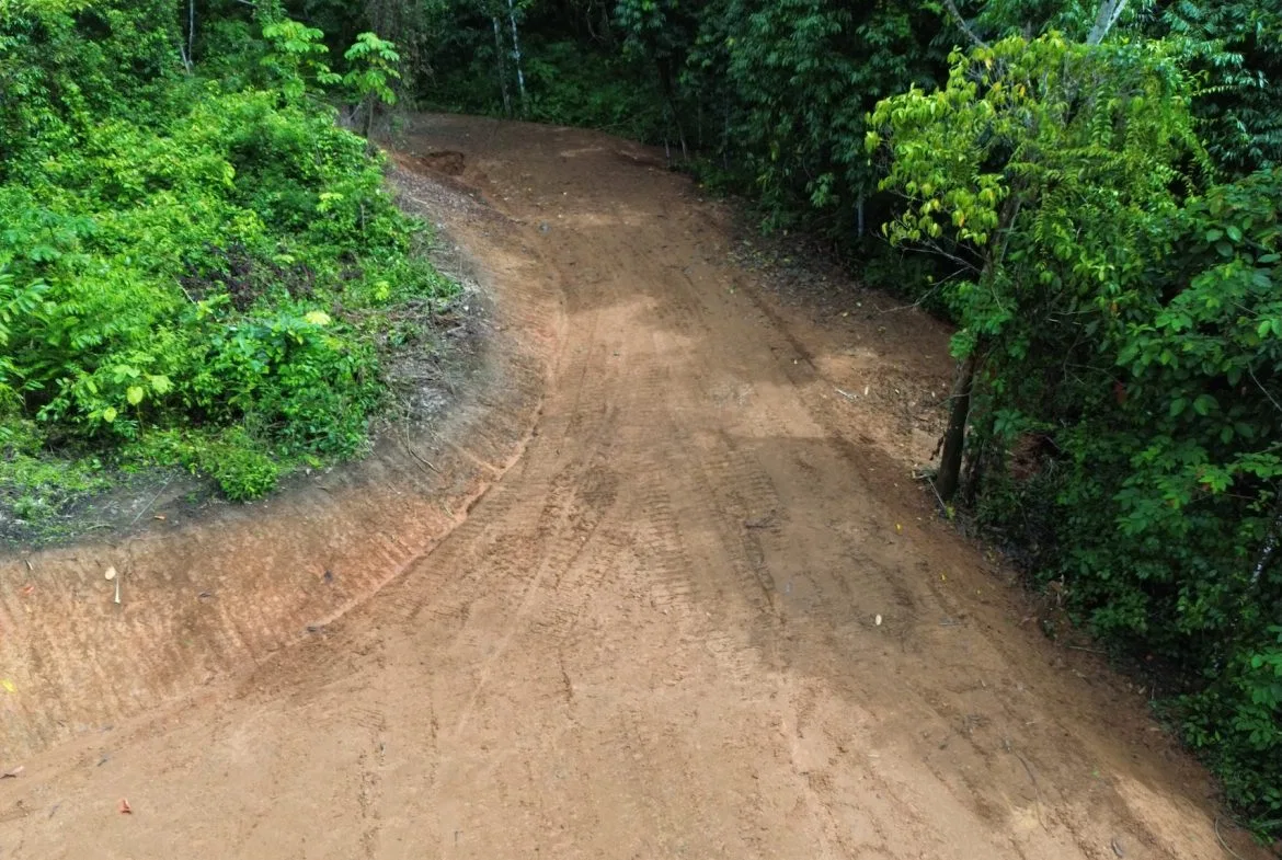 JUNGLE BUILDING PROPERTY NEAR TO THE CREEK, IN TORTUGA  ARRIBA – 2.41 ACRES, photo 12