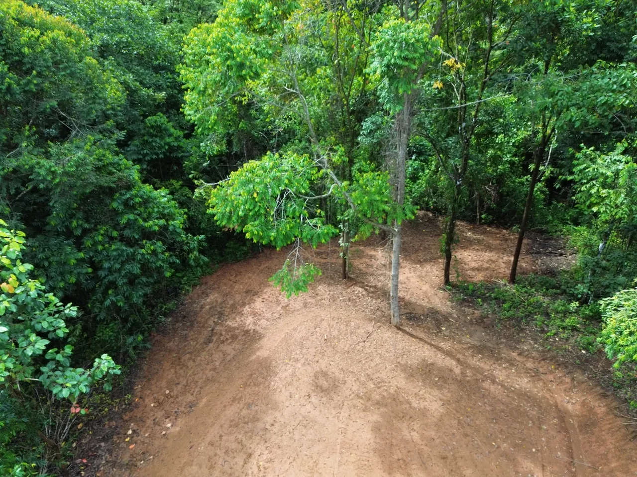 JUNGLE BUILDING PROPERTY NEAR TO THE CREEK, IN TORTUGA  ARRIBA – 2.41 ACRES, photo 13