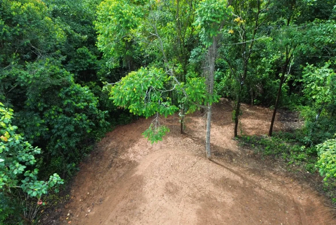 JUNGLE BUILDING PROPERTY NEAR TO THE CREEK, IN TORTUGA  ARRIBA – 2.41 ACRES, photo 14