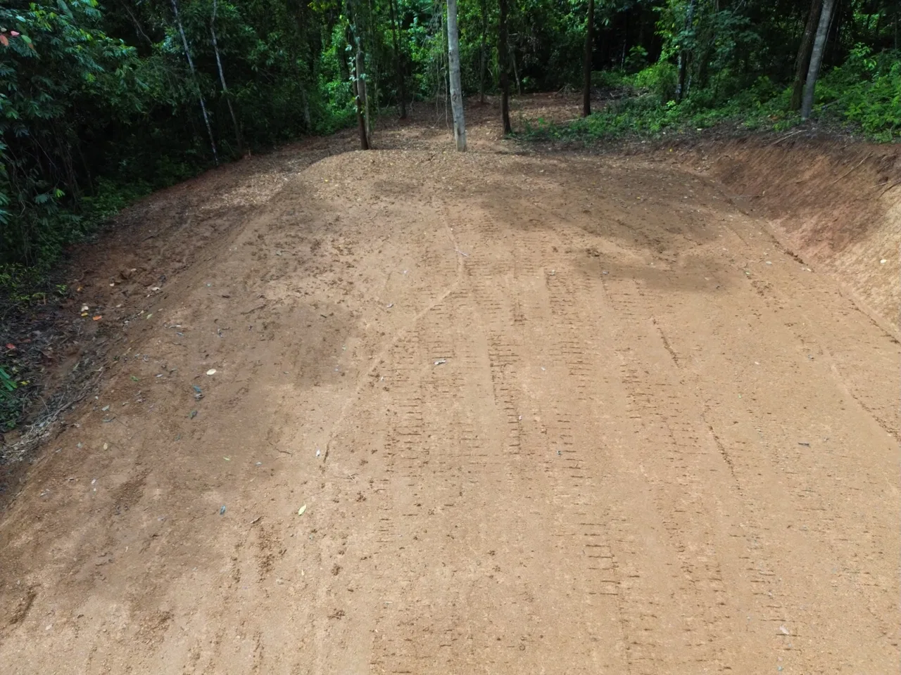 JUNGLE BUILDING PROPERTY NEAR TO THE CREEK, IN TORTUGA  ARRIBA – 2.41 ACRES, photo 15