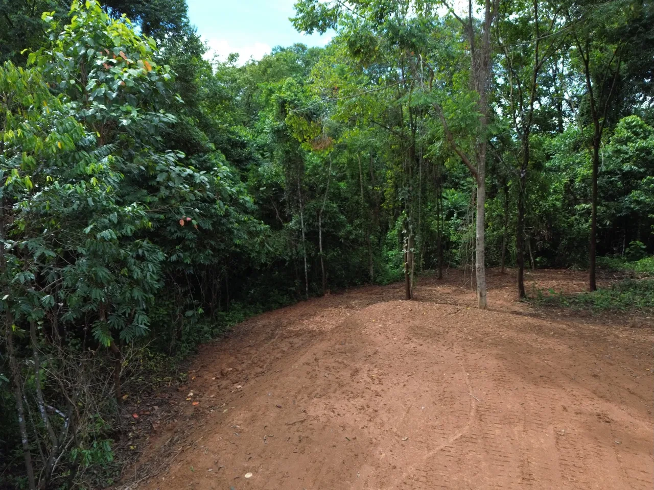 JUNGLE BUILDING PROPERTY NEAR TO THE CREEK, IN TORTUGA  ARRIBA – 2.41 ACRES, photo 17