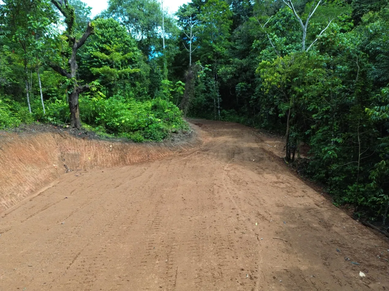 JUNGLE BUILDING PROPERTY NEAR TO THE CREEK, IN TORTUGA  ARRIBA – 2.41 ACRES, photo 19