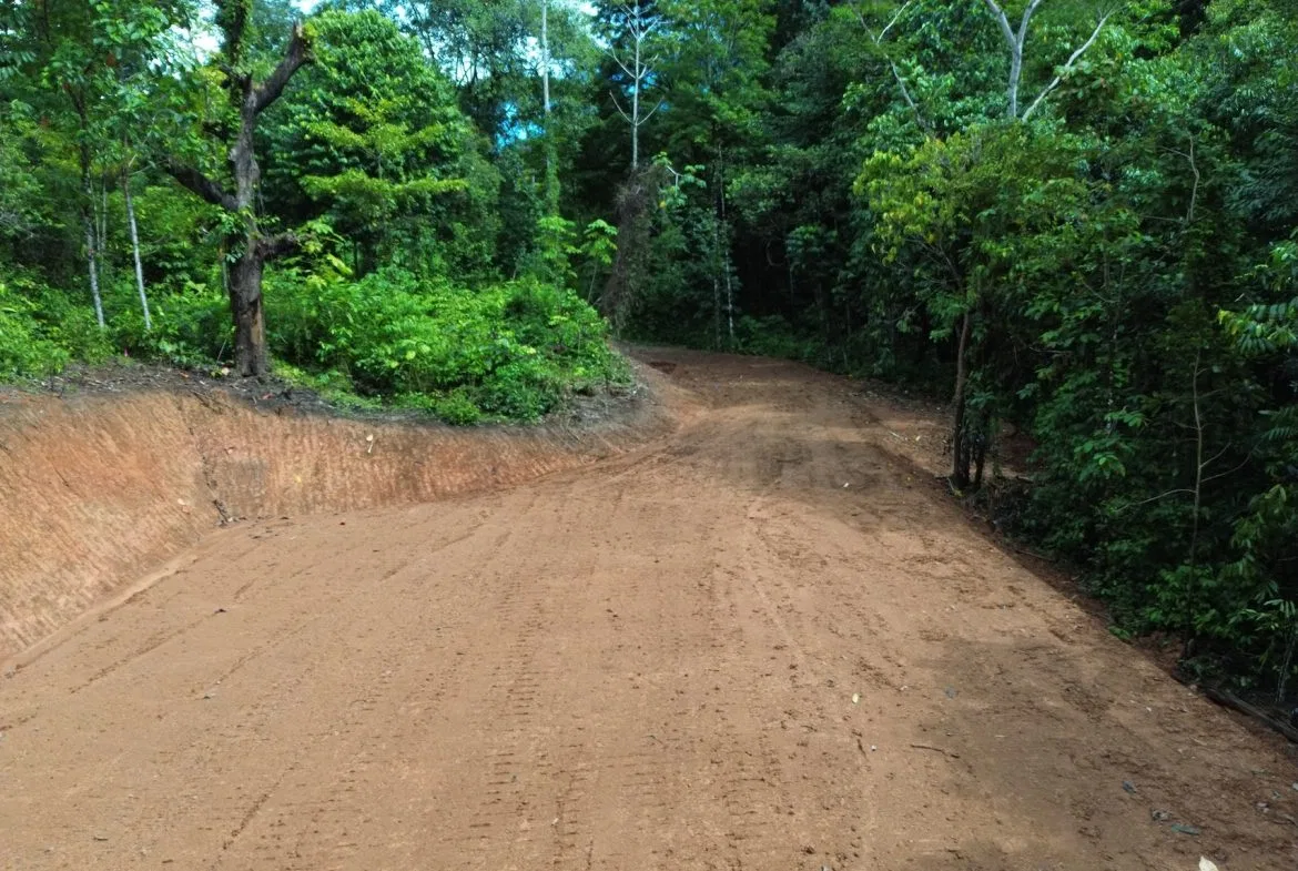 JUNGLE BUILDING PROPERTY NEAR TO THE CREEK, IN TORTUGA  ARRIBA – 2.41 ACRES, photo 20