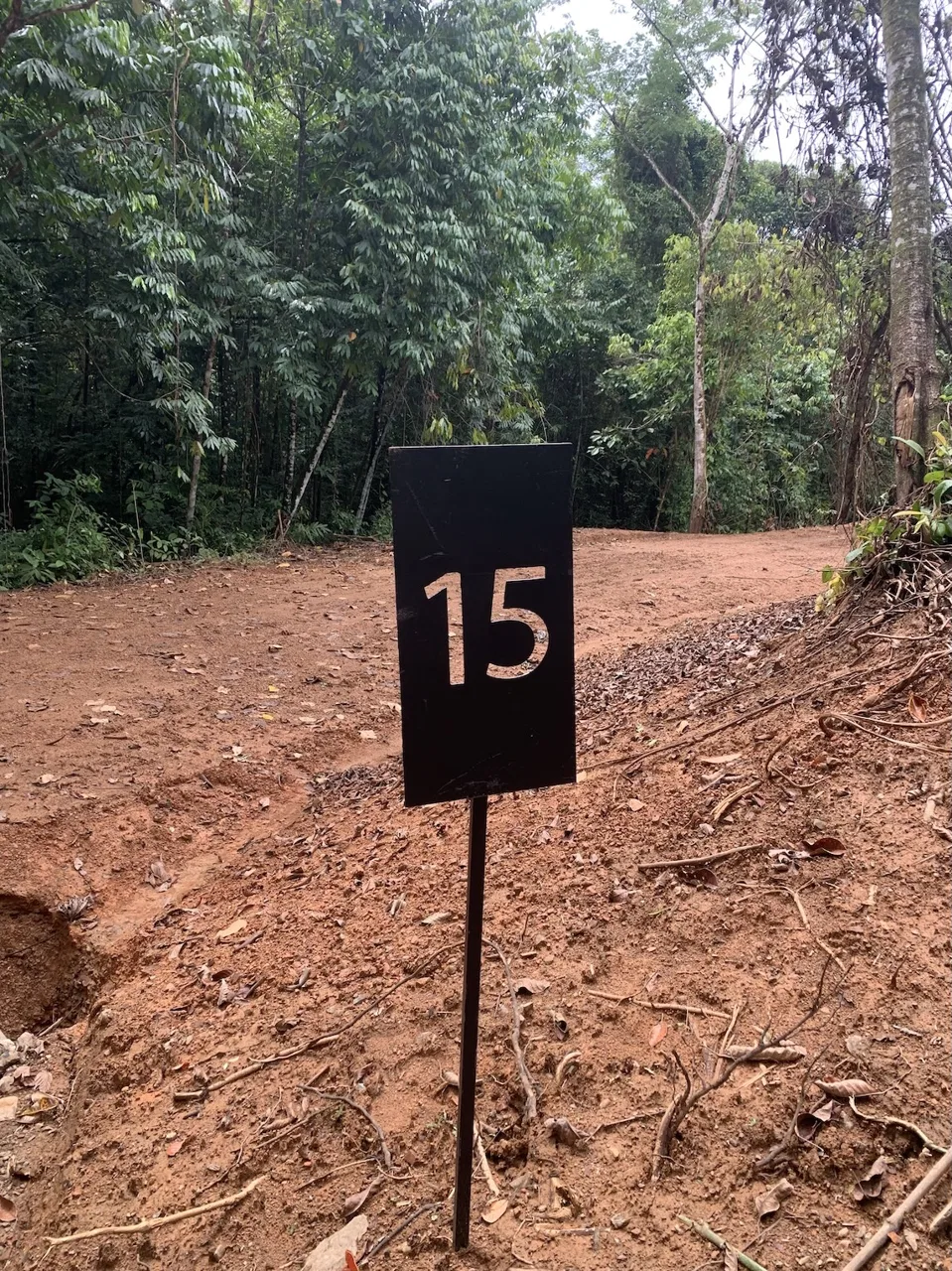 JUNGLE BUILDING PROPERTY NEAR TO THE CREEK, IN TORTUGA  ARRIBA – 2.41 ACRES, photo 3