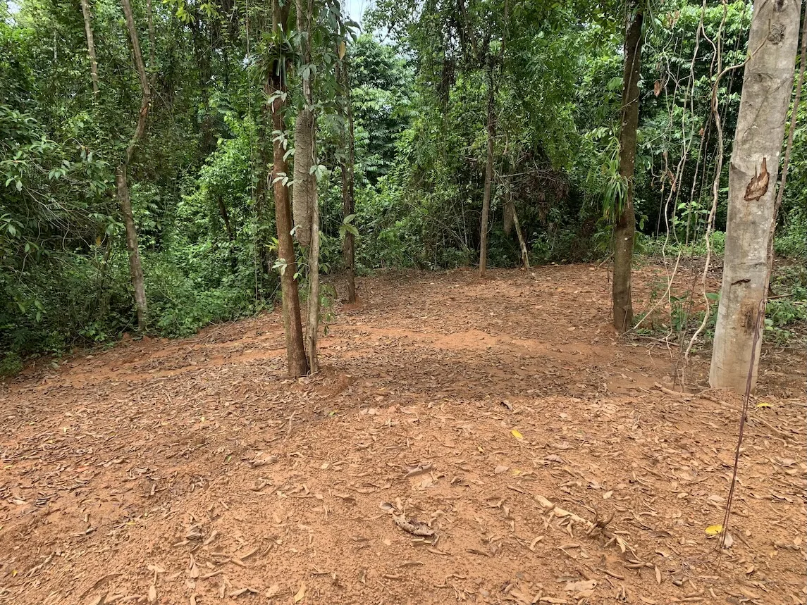 JUNGLE BUILDING PROPERTY NEAR TO THE CREEK, IN TORTUGA  ARRIBA – 2.41 ACRES, photo 21