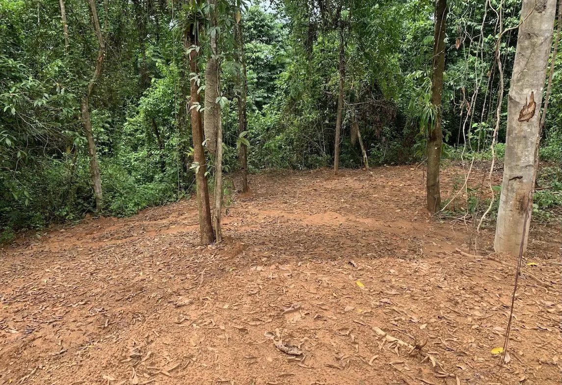 JUNGLE BUILDING PROPERTY NEAR TO THE CREEK, IN TORTUGA  ARRIBA – 2.41 ACRES, photo 22