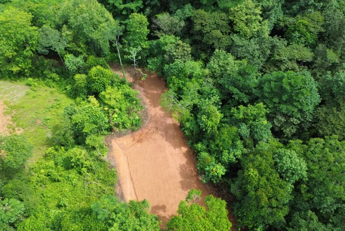 JUNGLE BUILDING PROPERTY NEAR TO THE CREEK, IN TORTUGA  ARRIBA – 2.41 ACRES, photo 6