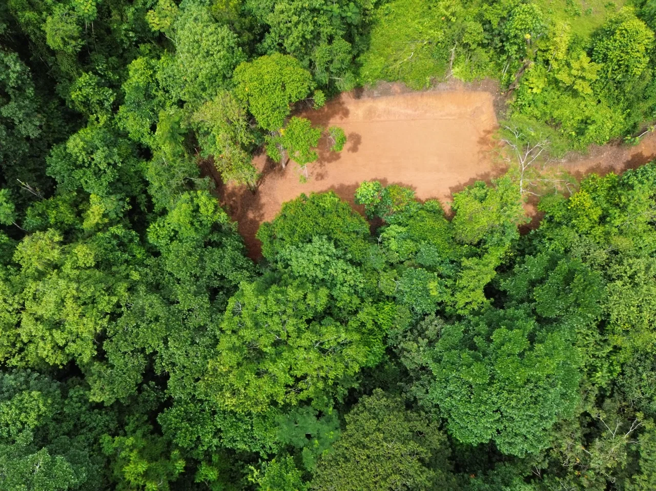 JUNGLE BUILDING PROPERTY NEAR TO THE CREEK, IN TORTUGA  ARRIBA – 2.41 ACRES, photo 7
