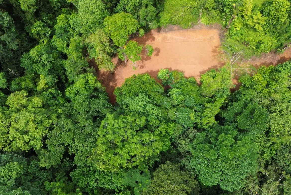JUNGLE BUILDING PROPERTY NEAR TO THE CREEK, IN TORTUGA  ARRIBA – 2.41 ACRES, photo 8
