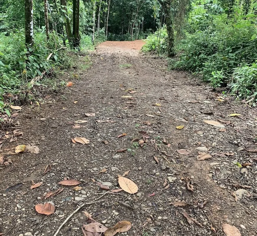 JUNGLE BUILDING PROPERTY NEAR TO THE CREEK, IN TORTUGA  ARRIBA – 2.41 ACRES, photo 10