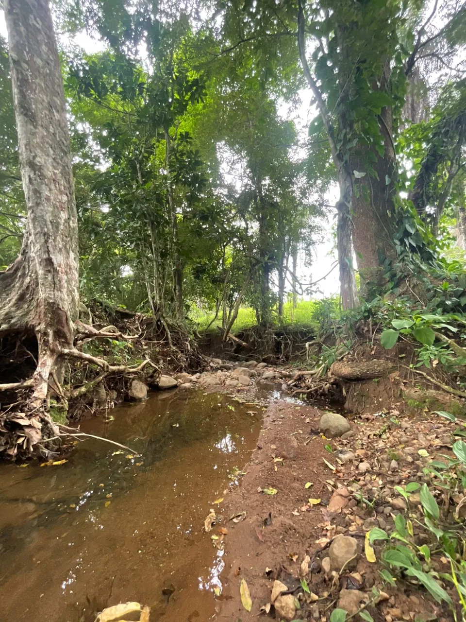 Unique Property for Sale in the Heart of Turrubares – 11 Hectares with Stunning Views - RE/MAX Tierra de Oro, photo 6
