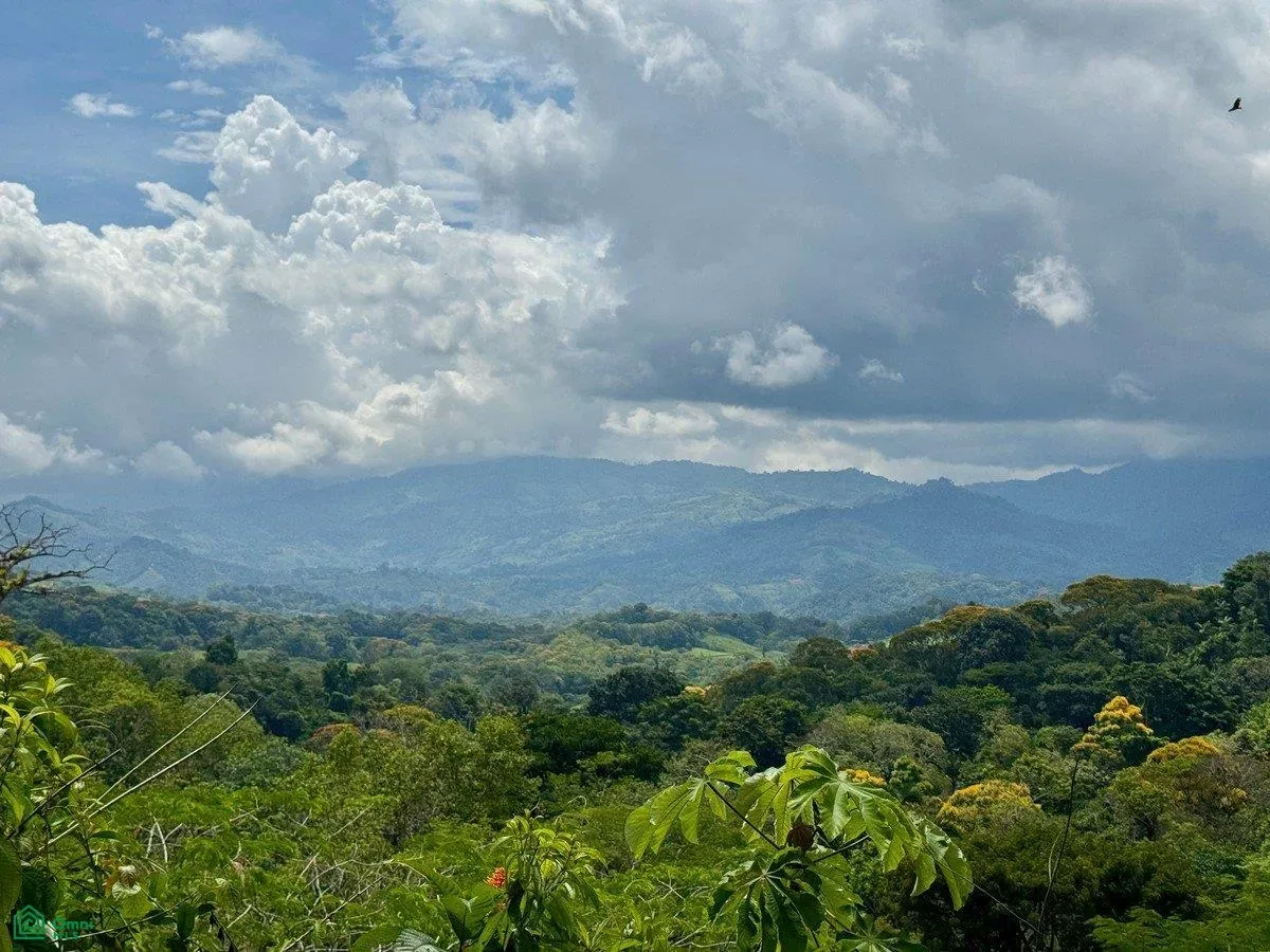 Platanillo, Puntarenas, Puntarenas 11901
