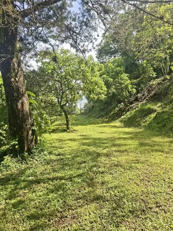 MONTAIN CONDOMINIUM .LAND FOR SALE. VALLEY VIEW. 5,511 m2, photo 2