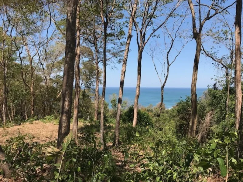 Land For Sale in Playa Hermosa Santa Teresa