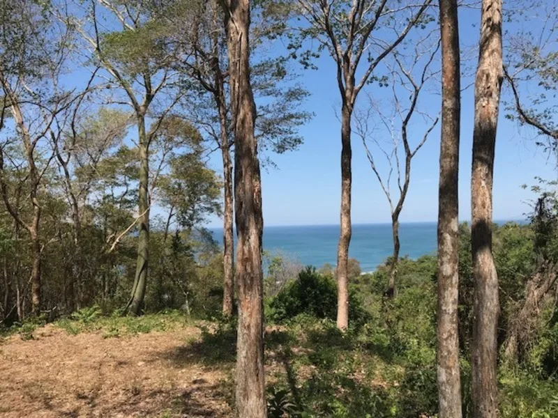 Land For Sale in Playa Hermosa Santa Teresa, photo 2