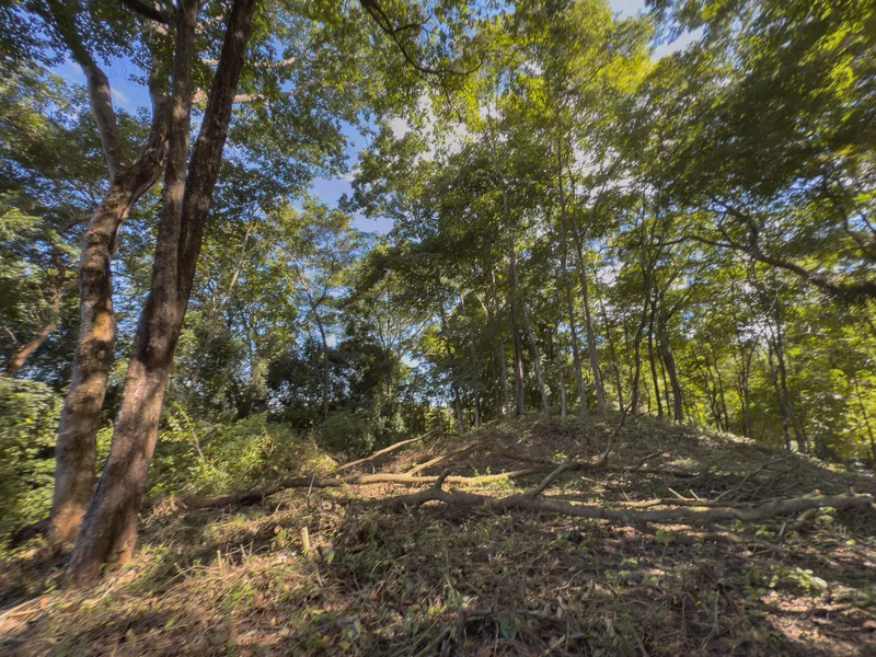 Land For Sale in Playa Hermosa Santa Teresa, photo 11