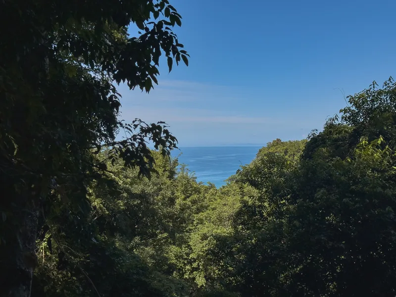 Land For Sale in Playa Hermosa Santa Teresa, photo 8
