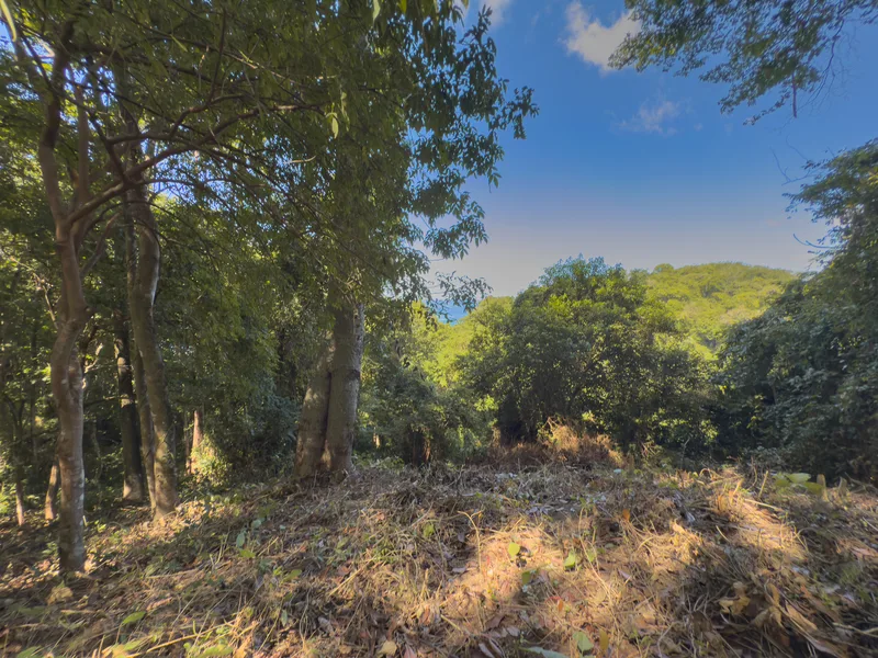 Land For Sale in Playa Hermosa Santa Teresa, photo 9