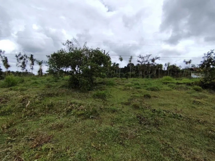 LOTE DE 1.752M²EN SANTA ELENA ZONA SEGURA Y CON PLUSVALÍA. - Venta en Perez Zeledón, photo 12