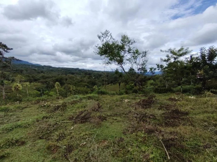 LOTE DE 1.752M²EN SANTA ELENA ZONA SEGURA Y CON PLUSVALÍA. - Venta en Perez Zeledón, photo 13