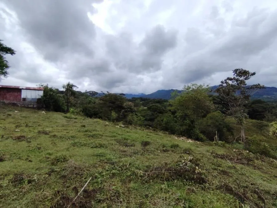 LOTE DE 1.752M²EN SANTA ELENA ZONA SEGURA Y CON PLUSVALÍA. - Venta en Perez Zeledón, photo 15