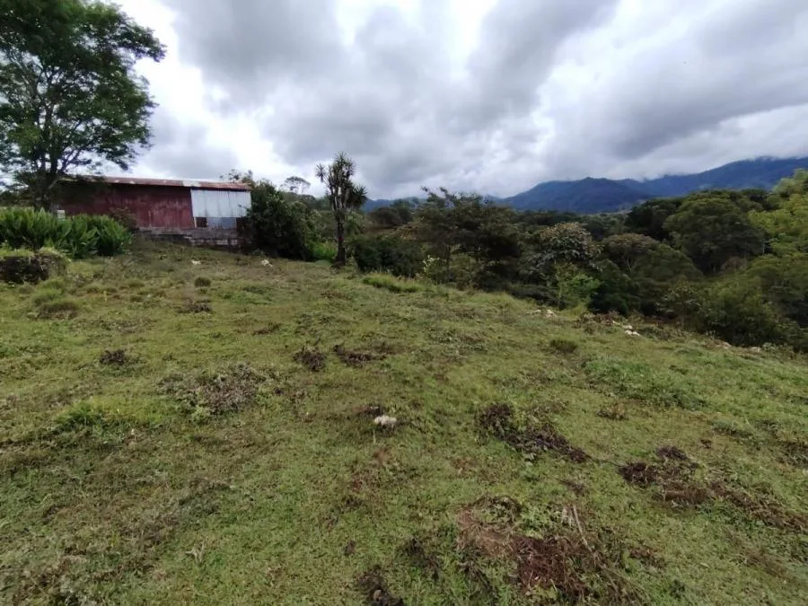 LOTE DE 1.752M²EN SANTA ELENA ZONA SEGURA Y CON PLUSVALÍA. - Venta en Perez Zeledón, photo 8