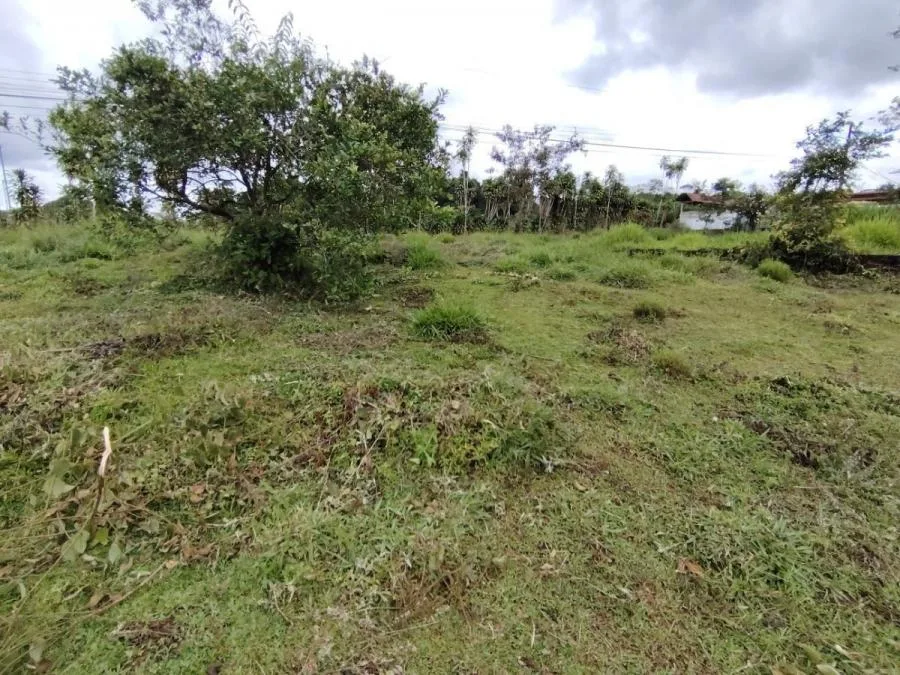 LOTE DE 1.752M²EN SANTA ELENA ZONA SEGURA Y CON PLUSVALÍA. - Venta en Perez Zeledón, photo 9