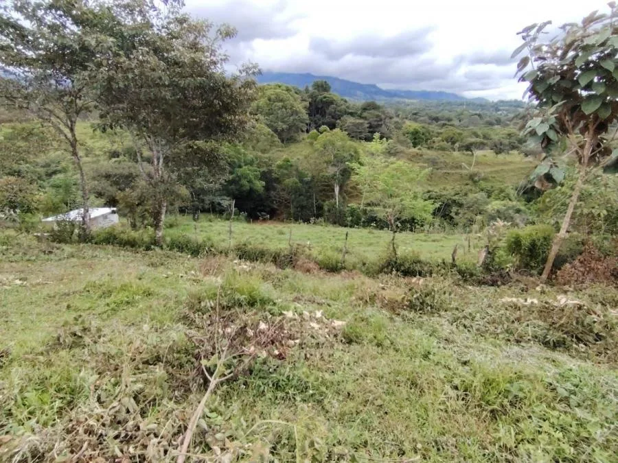 LOTE DE 1.752M²EN SANTA ELENA ZONA SEGURA Y CON PLUSVALÍA. - Venta en Perez Zeledón, photo 10
