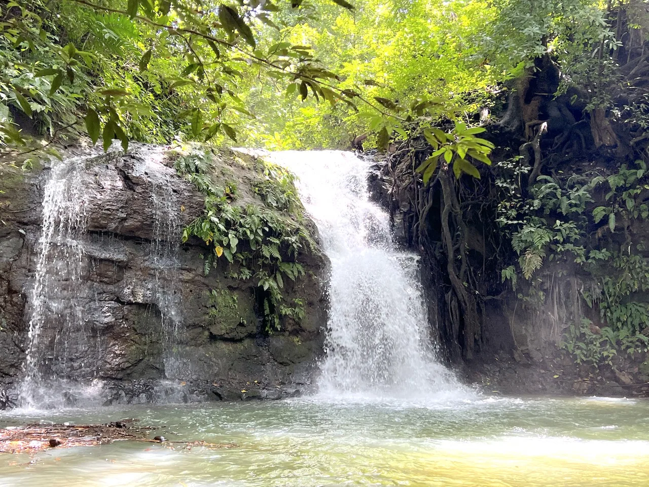 A 30.9 Acre Serene Paradise Beckons: Your Dream Property Awaits in Costa Rica, photo 2