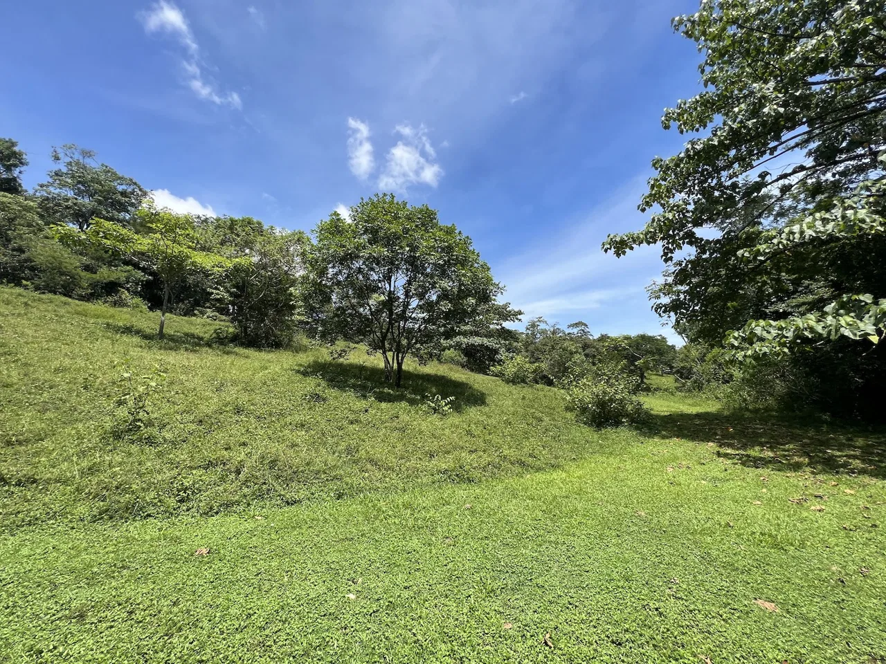 A 30.9 Acre Serene Paradise Beckons: Your Dream Property Awaits in Costa Rica, photo 3