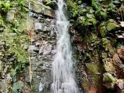 Lote de 1.4 Hectáreas con cascada y quebrada, photo 2