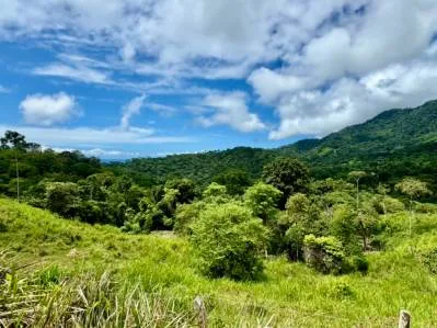 Lote de 1.4 Hectáreas con cascada y quebrada, photo 5