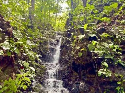 Lote de 1.4 Hectáreas con cascada y quebrada, photo 8