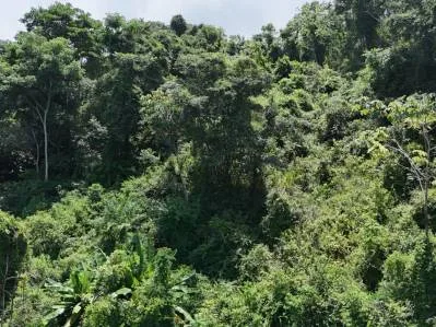 Exquisita propiedad en la selva con vista al mar | Condominio cerrado en Ojochal, photo 3