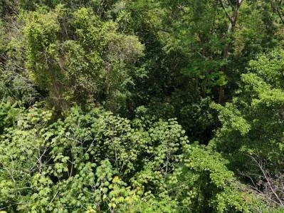 Exquisita propiedad en la selva con vista al mar | Condominio cerrado en Ojochal, photo 6