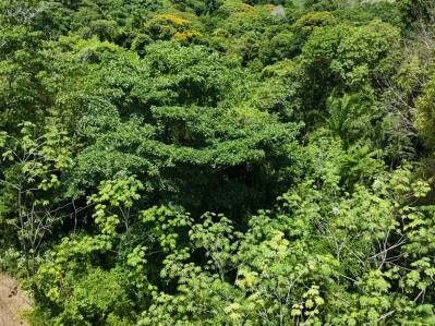Exquisita propiedad en la selva con vista al mar | Condominio cerrado en Ojochal, photo 7
