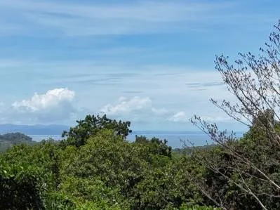 Exquisita propiedad en la selva con vista al mar | Condominio cerrado en Ojochal, photo 9