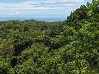 Exquisita propiedad en la selva con vista al mar | Condominio cerrado en Ojochal, photo 10