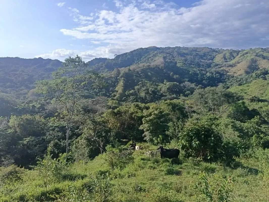 MA Asesoría vende Finca para desarrollo en Guadalupe, Lepanto, Puntarenas.