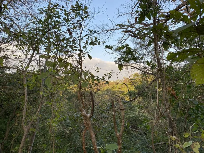 Land For Sale in Nosara, photo 11