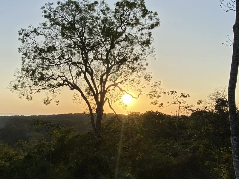 Land For Sale in Nosara, photo 3