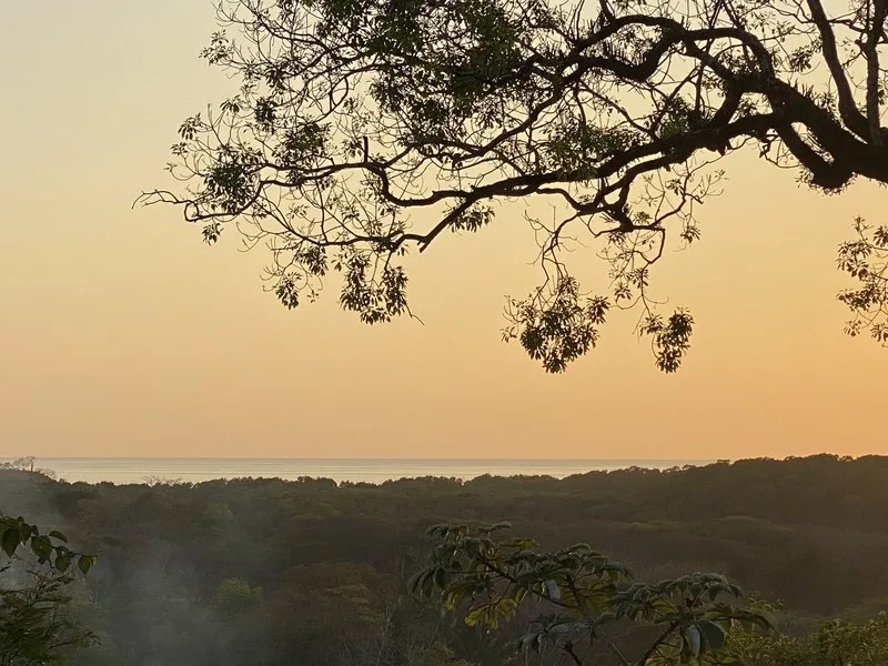 Land For Sale in Nosara, photo 4