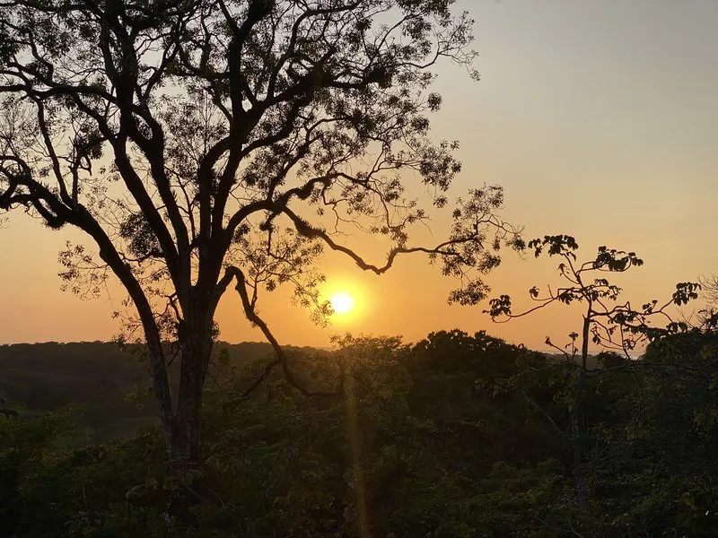 Land For Sale in Nosara, photo 5