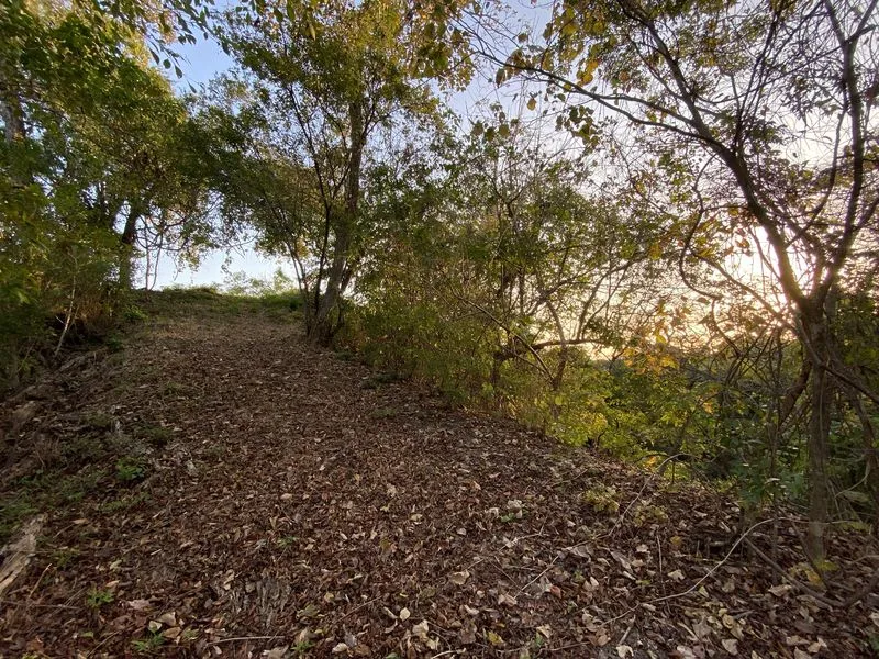 Land For Sale in Nosara, photo 9