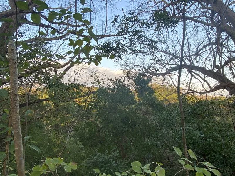 Land For Sale in Nosara, photo 10