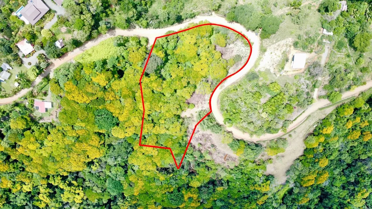 BUILDING PROPERTY NEAR TO THE CREEK AND PUBLIC ROAD IN FRONT, IN PLATANILLO – 1.9 ACRES