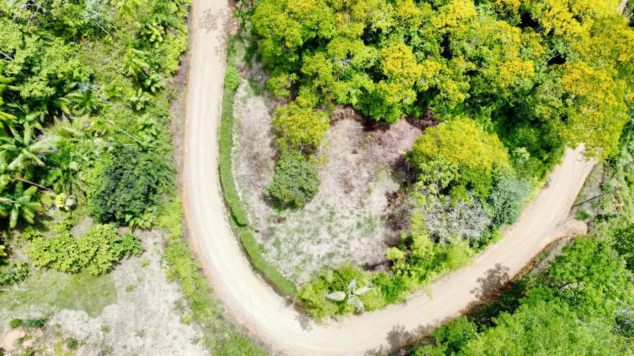 BUILDING PROPERTY NEAR TO THE CREEK AND PUBLIC ROAD IN FRONT, IN PLATANILLO – 1.9 ACRES, photo 2